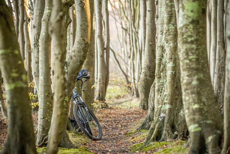 Peaceful Cycling