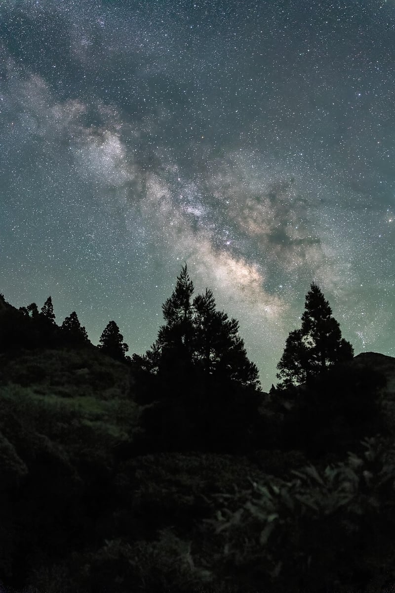Swimming at night under the stars